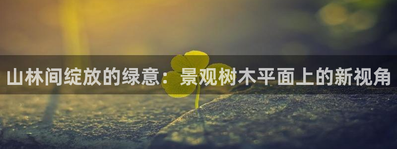 卧龙区社交娱乐