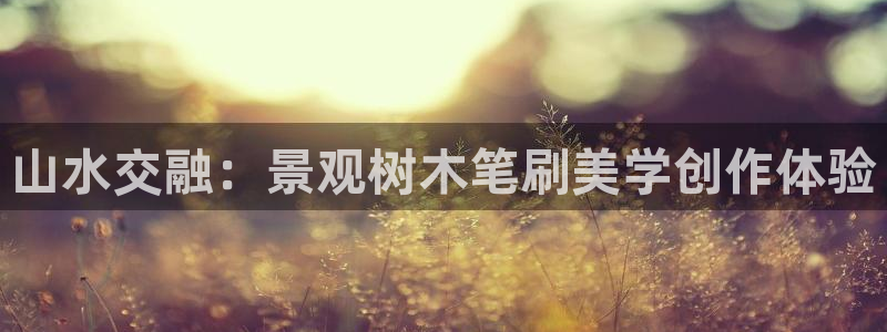 卧龙凤雏娱乐减肥