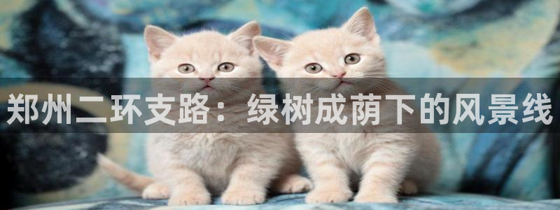 杏耀娱乐 0 47卧龙