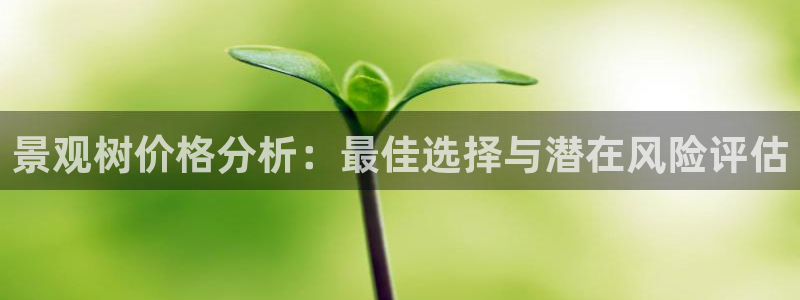 卧龙凤雏娱乐版：景观树价格分析：最佳选择与潜在风险评估