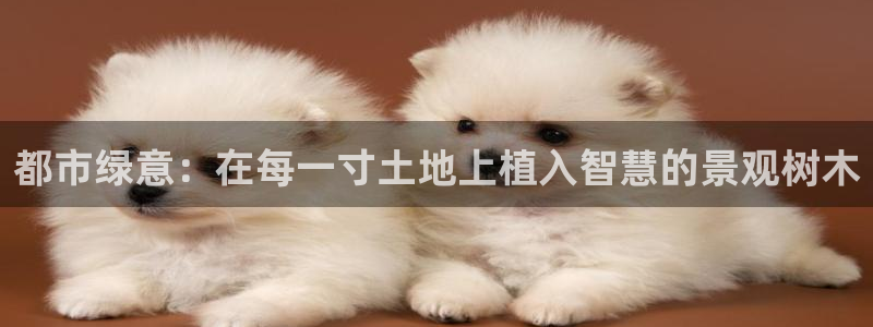 卧龙娱乐优七九九47：都市绿意：在每一寸土地上植入智慧的景观树木