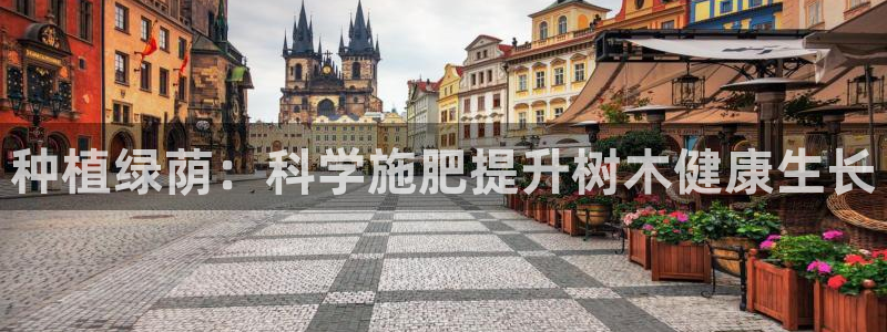 BA娱乐卧龙主管60447