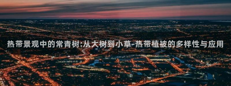 卧龙娱乐老板是谁呀视频