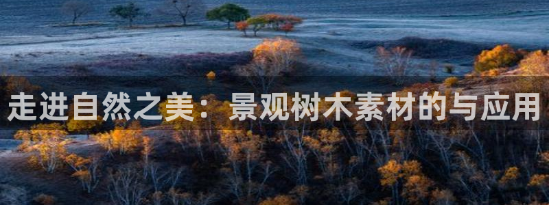 柏林娱乐 044 卧龙