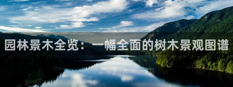 卧龙娱乐招商代理怎么样