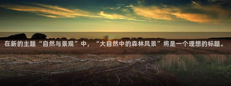 卧龙娱乐集团官网