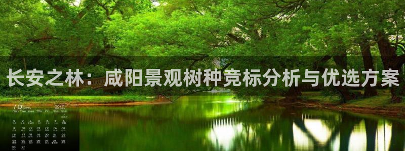 卧龙娱乐老板叫什么名子