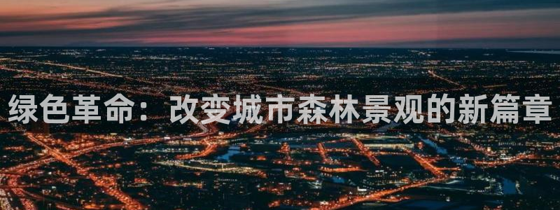 娱乐聚焦卧龙凤雏