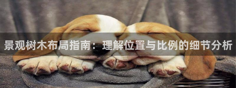 卧龙娱乐右7O667