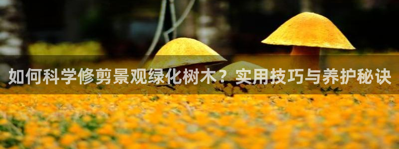 卧龙娱乐彩票中奖