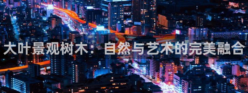 卧龙棋牌娱乐官网