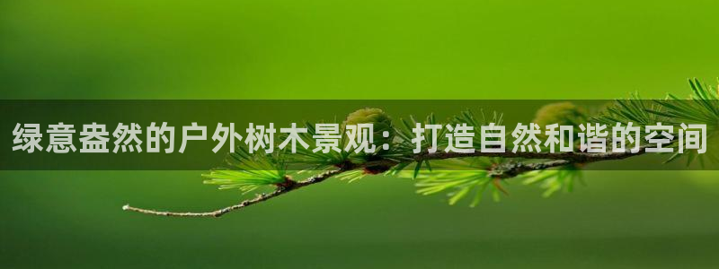 卧龙镇休闲娱乐