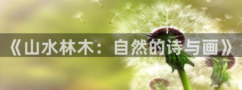 肥羊娱乐卧龙凤雏:《山水林木:自然的诗与画》