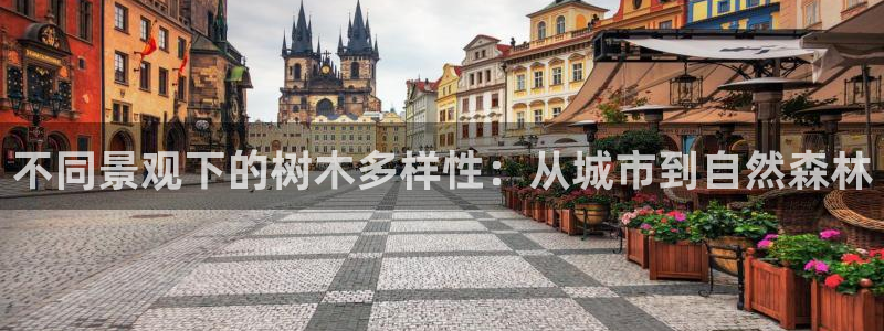 卧龙凤雏娱乐图