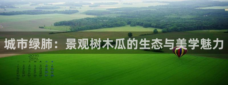 卧龙区社交娱乐