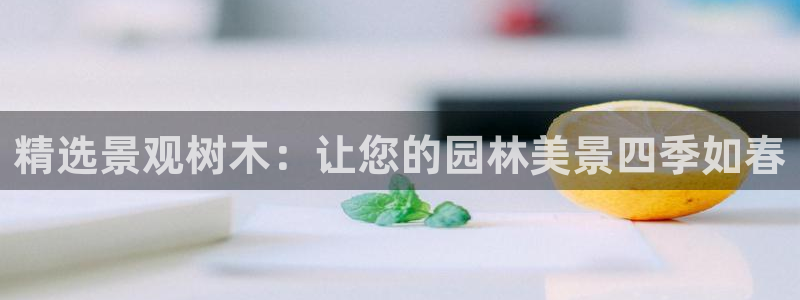 绥阳卧龙湖娱乐