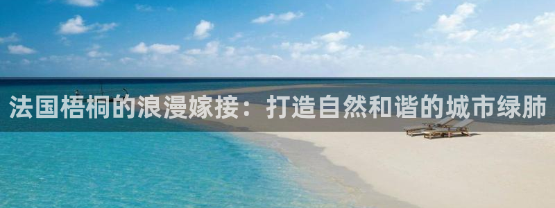 凤岗卧龙台球娱乐会所