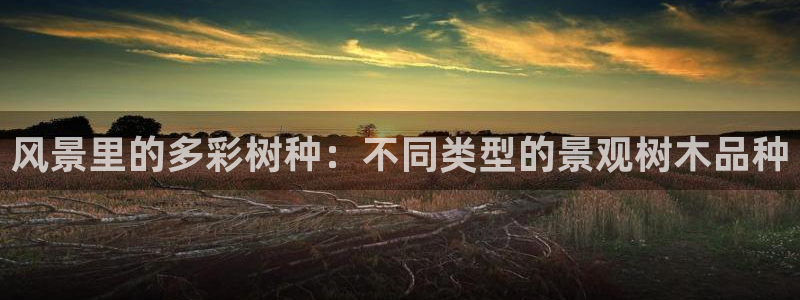 卧龙娱乐在线直播