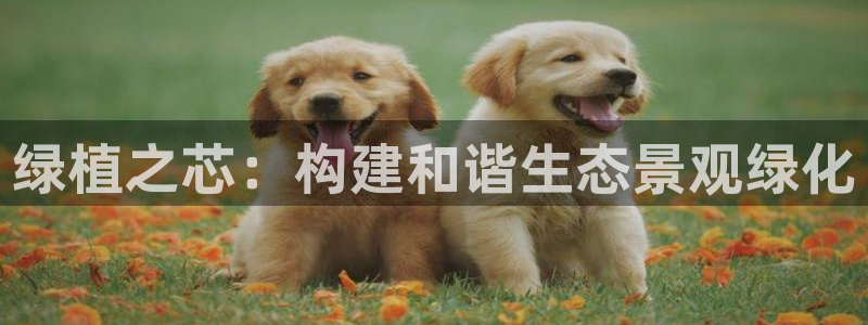 卧龙凤雏娱乐号