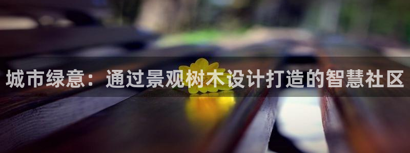 hr娱乐 卧龙主管60447