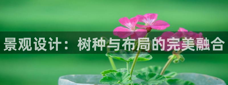 南阳卧龙娱乐会所:景观设计:树种与布局的完美融合