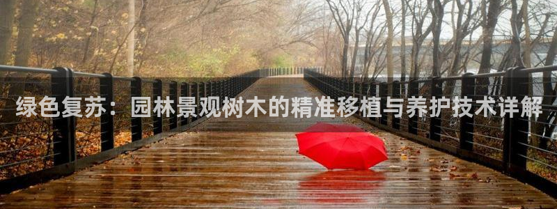 卧龙娱乐老板是谁呀图片