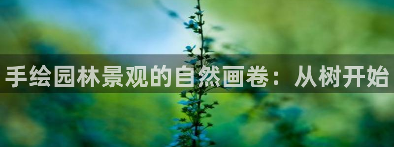 柏林娱乐- 0 卧龙