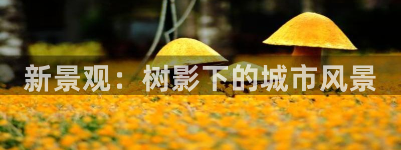 卧龙娱乐app下载安装