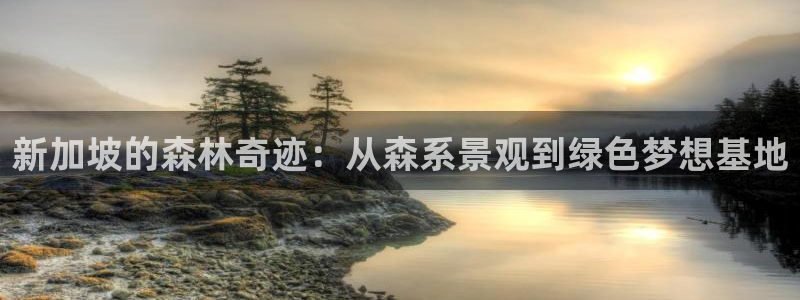 卧龙娱乐拆卡攻略:新加坡的森林奇迹:从森系景观到绿色梦想基地