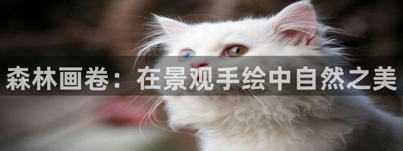 卧龙娱乐上7O667