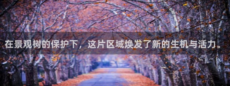 卧龙娱乐网址：在景观树的保护下，这片区域焕发了新的生机与活力。