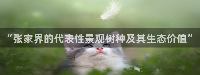 南阳卧龙娱乐城