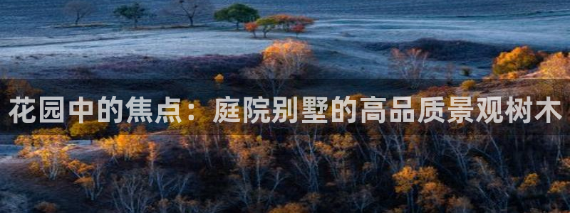 卧龙游乐娱乐设备