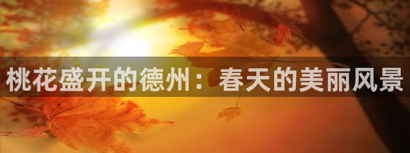 卧龙哥休闲娱乐