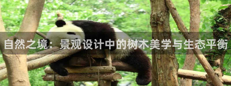 卧龙娱乐属于什么行业：自然之境：景观设计中的树木美学与生态平衡