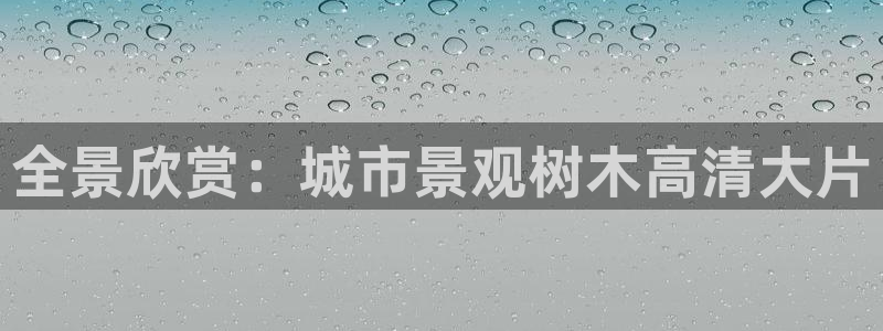 hr娱乐 卧龙招商60447：全景欣赏：城市景观树木高清大片