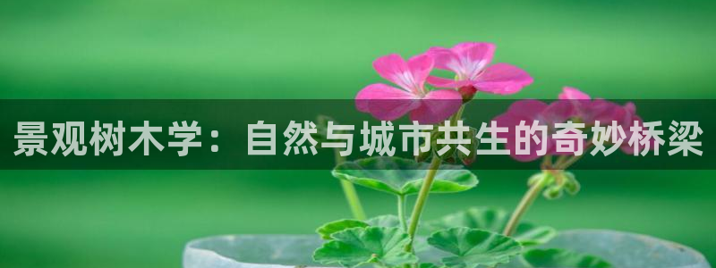 卧龙吟娱乐玩法：景观树木学：自然与城市共生的奇妙桥梁