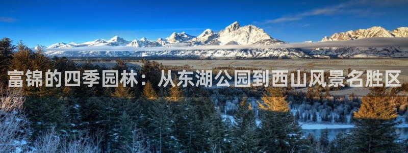 卧龙凤雏娱乐资讯